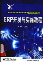 ERP开发与实施教程