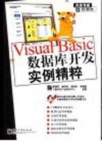 Visual Basic数据库开发实例精粹