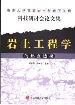 岩土工程学的热点透视  鲁东大学首届岩土与地下工程科技研讨会论文集