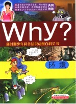 Why？环境