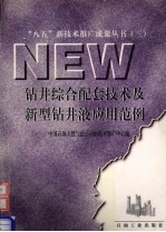 钻井综合配套技术及新型钻井液应用范例