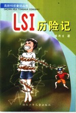 LSI历险记