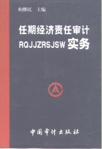 任期经济责任审计实务