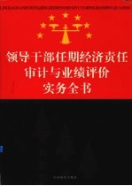 领导干部任期经济责任审计与业绩评价实务全书  下