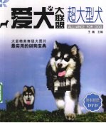 超大型犬  爱犬大联盟