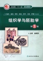 组织学与胚胎学