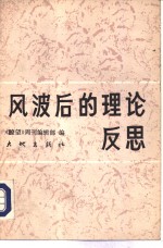 风波后的理论反思