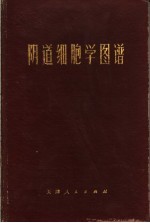 阴道细胞学图谱