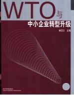 WTO与中小企业转型升级