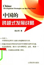 中国的跨越式发展战略