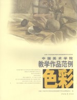 中国美术学院色彩教学作品范例