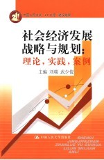 社会经济发展战略与规划  理论、实践、案例