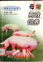 母猪高效饲养