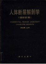 人体断层解剖学  横断断层