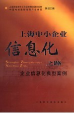 上海中小企业信息化之路  企业信息化典型案例