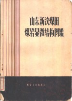 山东新汶煤田煤岩显微结构图鉴