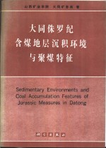 大同侏罗纪含煤地层沉积环境与聚煤特征