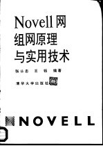 Novell网组网原理与实用技术