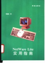 NetWare Lite实用指南