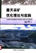 露天采矿优化理论与实践