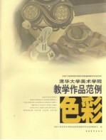 清华大学美术学院色彩教学作品范例