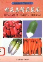 根菜类精品蔬菜