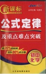 新课标公式定律及重点难点突破  初中化学