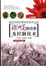 非洲菊病虫害及控制技术