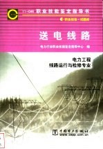 送电线路  11-046  职业标准·试题库  电力工程  线路运行与检修专业