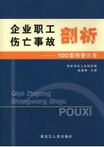 企业职工伤亡事故剖析  100案例警示录