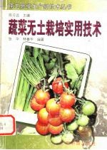 蔬菜无土栽培实用技术