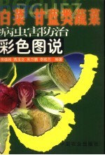 白菜  甘蓝类蔬菜病虫害防治彩色图说