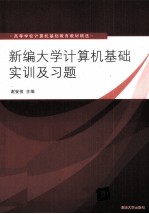 《新编大学计算机基础》实训及习题