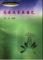 荠菜及荠菜园艺