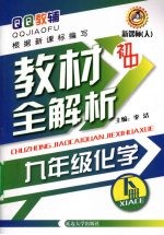 初中教材全解析  化学  九年级  下