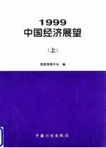 1999年中国经济展望  上