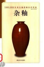 1995-2002年单色釉瓷器拍卖图鉴  杂釉