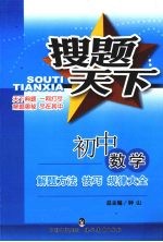 解题方法技巧规律大全  初中数学