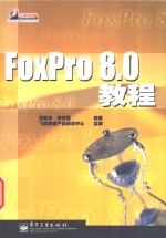 FoxPro 8.0教程