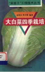 大白菜四季栽培