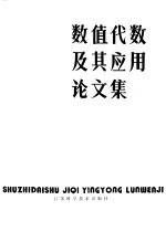 数值代数及其应用论文集