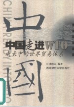 中国走进WTO 成长中的世界贸易体系