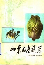 山东名产蔬菜