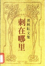 刺在哪里  文艺随笔、文学评论