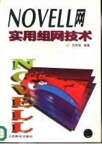 Novell网实用组网技术