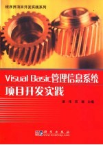 Visual Basic管理信息系统项目开发实践