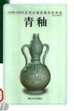 1995-2002年单色釉瓷器拍卖图鉴  青釉