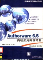 Authorware 6.5高级应用实例精解  函数实例集