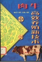 肉牛高效养殖新技术