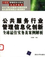 公共服务行业管理信息化创新  全球最佳实务及案例解析